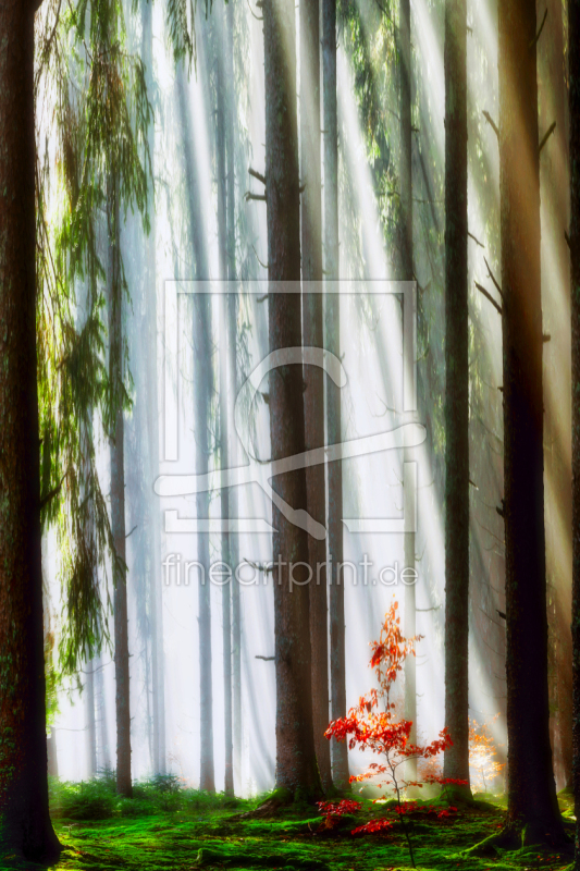 frei w&auml;hlbarer Bildausschnitt f&uuml;r Ihr Bild auf Glas-Schneidebrett