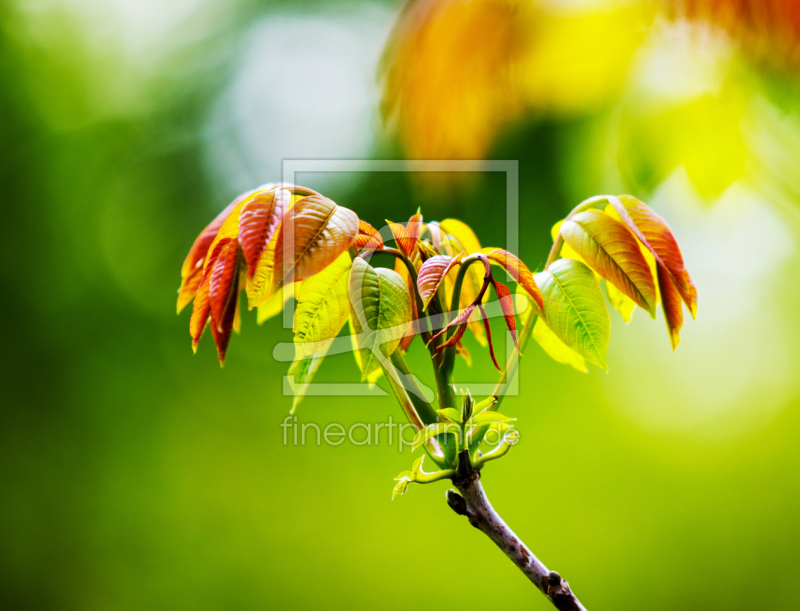 frei w&auml;hlbarer Bildausschnitt f&uuml;r Ihr Bild auf Glas-Schneidebrett