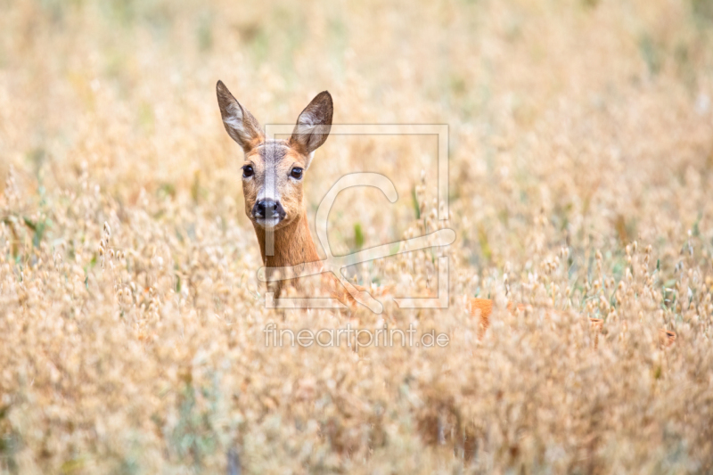 frei wählbarer Bildausschnitt für Ihr Bild auf Glas-Schneidebrett