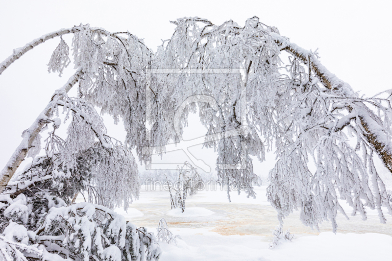 frei wählbarer Bildausschnitt für Ihr Bild auf Glas-Schneidebrett