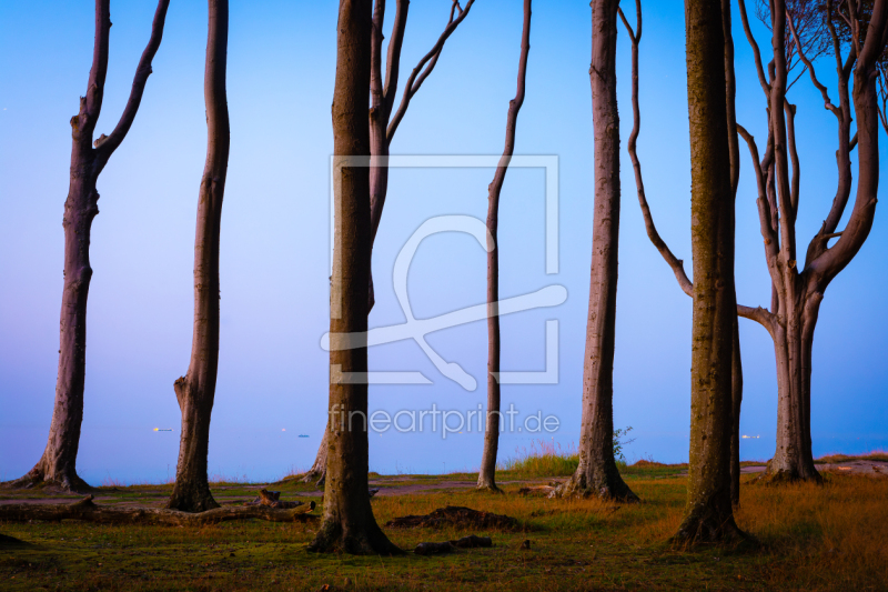 frei wählbarer Bildausschnitt für Ihr Bild auf Glas-Schneidebrett