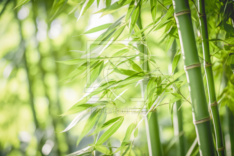 frei w&auml;hlbarer Bildausschnitt f&uuml;r Ihr Bild auf Glas-Schneidebrett