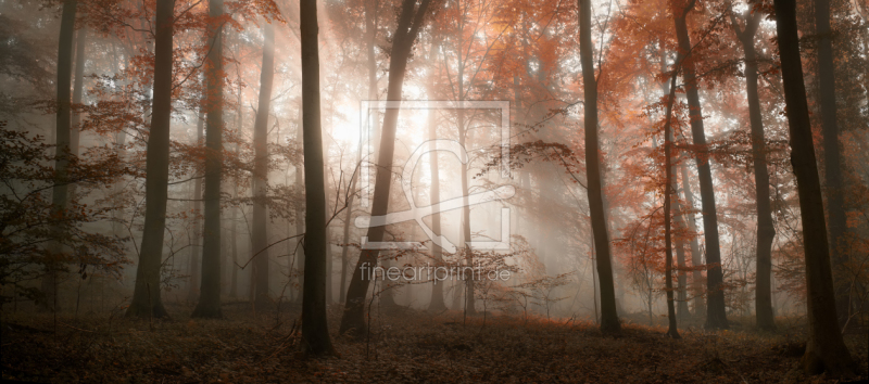 frei wählbarer Bildausschnitt für Ihr Bild auf Glas-Schneidebrett
