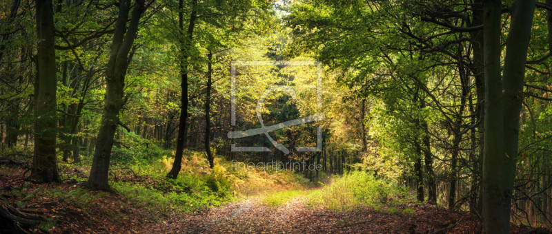 frei w&auml;hlbarer Bildausschnitt f&uuml;r Ihr Bild auf Glas-Schneidebrett