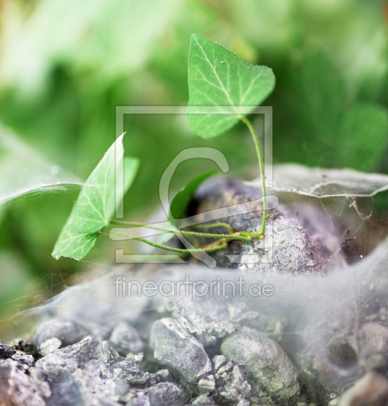 frei w&auml;hlbarer Bildausschnitt f&uuml;r Ihr Bild auf Glas-Schneidebrett