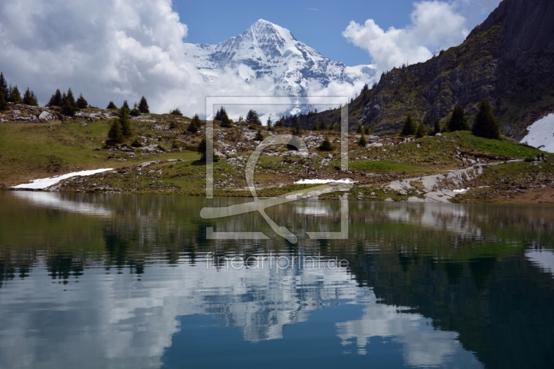 frei wählbarer Bildausschnitt für Ihr Bild auf Glas-Schneidebrett