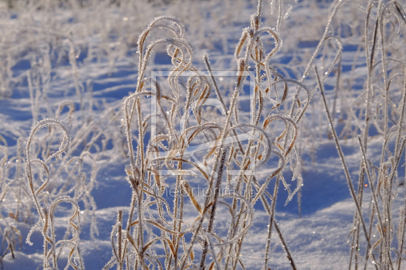 frei w&auml;hlbarer Bildausschnitt f&uuml;r Ihr Bild auf Glas-Schneidebrett