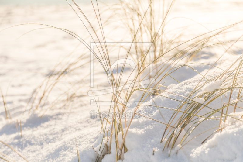 frei wählbarer Bildausschnitt für Ihr Bild auf Glas-Schneidebrett