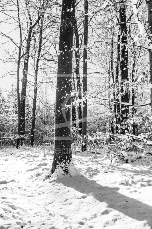 frei wählbarer Bildausschnitt für Ihr Bild auf Glas-Schneidebrett