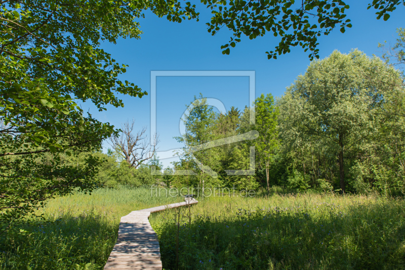 frei w&auml;hlbarer Bildausschnitt f&uuml;r Ihr Bild auf Glas-Schneidebrett