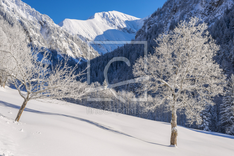 frei wählbarer Bildausschnitt für Ihr Bild auf Glas-Schneidebrett
