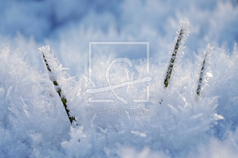 frei wählbarer Bildausschnitt für Ihr Bild auf Glas-Schneidebrett