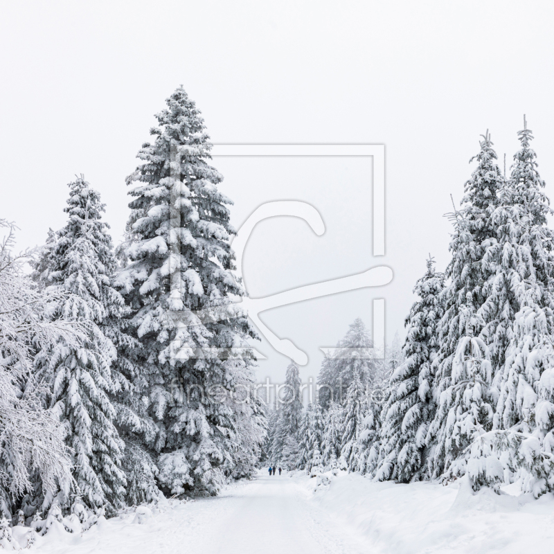 frei wählbarer Bildausschnitt für Ihr Bild auf Glas-Schneidebrett