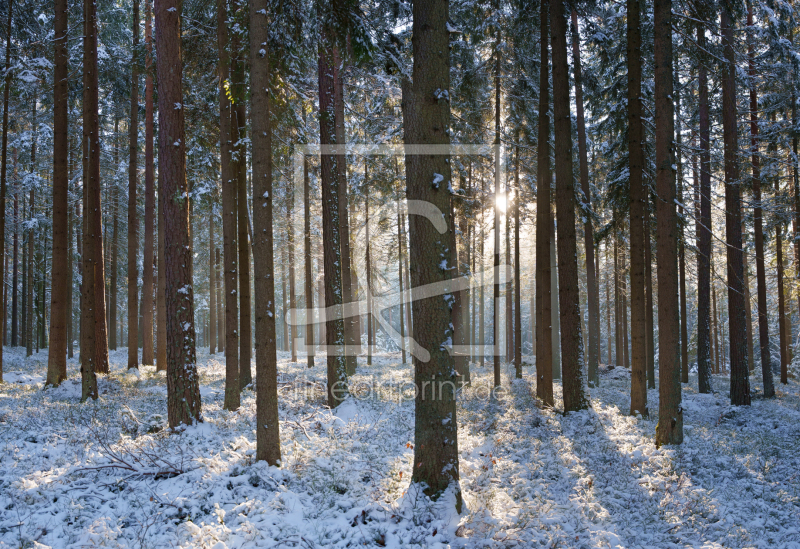 frei wählbarer Bildausschnitt für Ihr Bild auf Glas-Schneidebrett