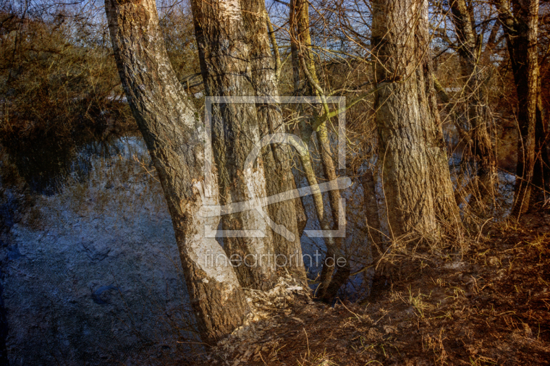 frei w&auml;hlbarer Bildausschnitt f&uuml;r Ihr Bild auf Glas-Schneidebrett
