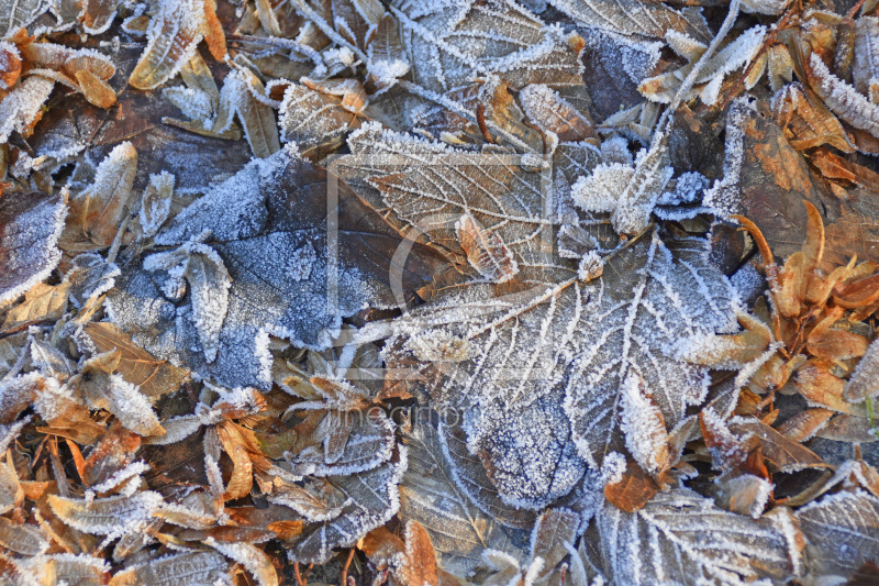 frei wählbarer Bildausschnitt für Ihr Bild auf Glas-Schneidebrett