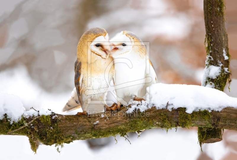 frei wählbarer Bildausschnitt für Ihr Bild auf Glas-Schneidebrett