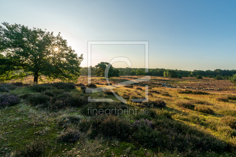 frei wählbarer Bildausschnitt für Ihr Bild auf Glas-Schneidebrett