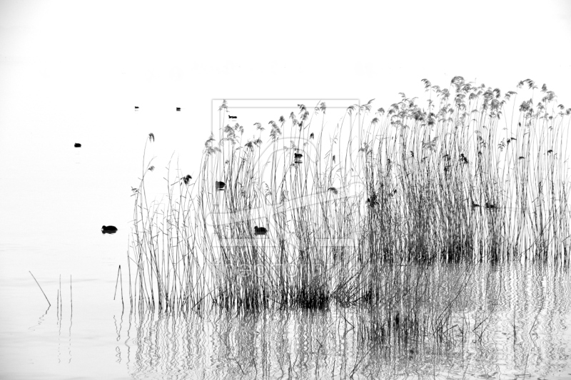 frei w&auml;hlbarer Bildausschnitt f&uuml;r Ihr Bild auf Glas-Schneidebrett