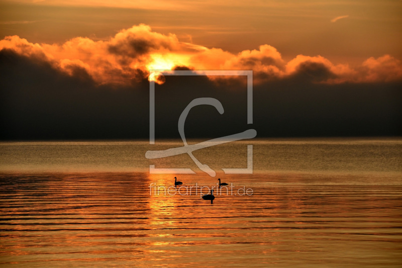 frei wählbarer Bildausschnitt für Ihr Bild auf Glas-Schneidebrett