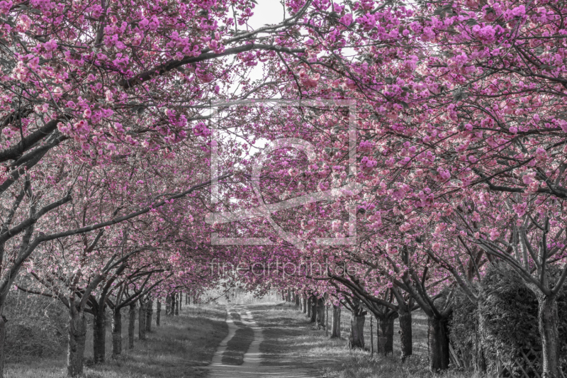 frei w&auml;hlbarer Bildausschnitt f&uuml;r Ihr Bild auf Glas-Schneidebrett