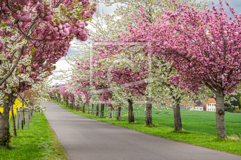 frei w&auml;hlbarer Bildausschnitt f&uuml;r Ihr Bild auf Glas-Schneidebrett