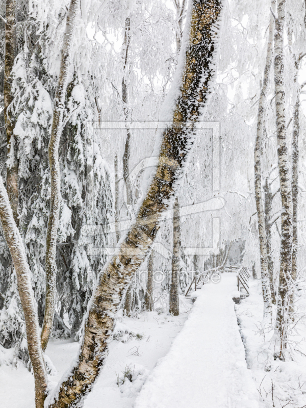 frei wählbarer Bildausschnitt für Ihr Bild auf Glas-Schneidebrett