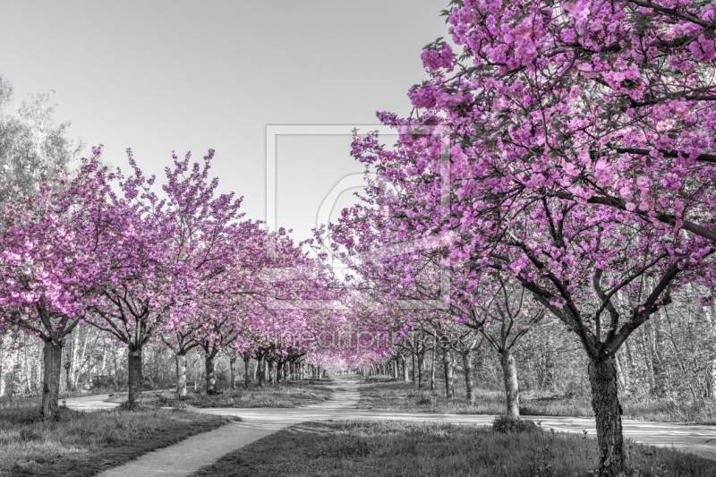 frei w&auml;hlbarer Bildausschnitt f&uuml;r Ihr Bild auf Glas-Schneidebrett