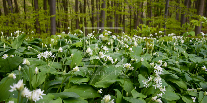 frei w&auml;hlbarer Bildausschnitt f&uuml;r Ihr Bild auf Glas-Schneidebrett