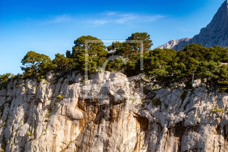 frei wählbarer Bildausschnitt für Ihr Bild auf Glas-Schneidebrett
