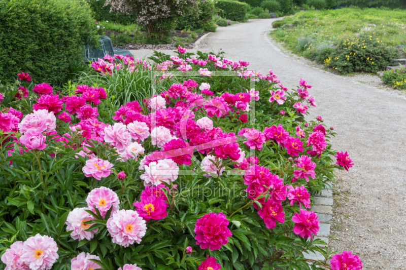 frei w&auml;hlbarer Bildausschnitt f&uuml;r Ihr Bild auf Glas-Schneidebrett