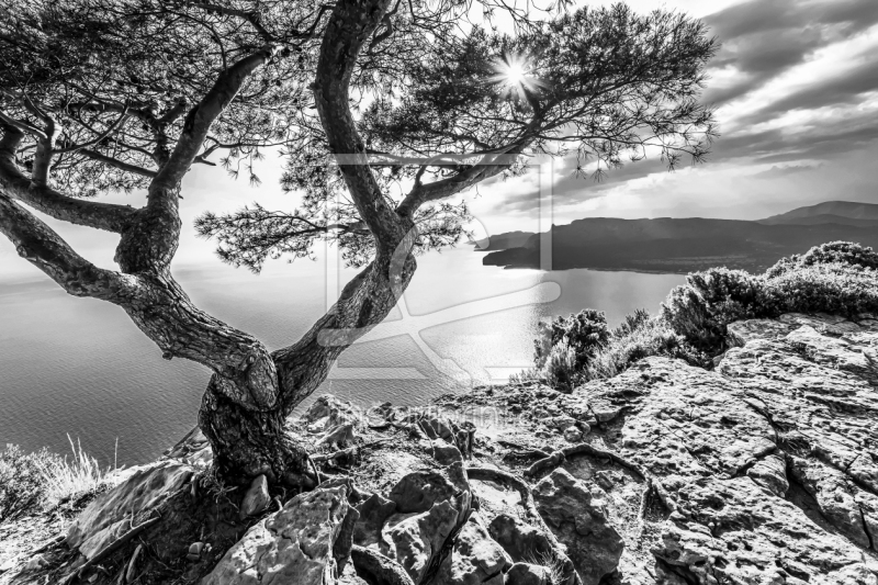 frei w&auml;hlbarer Bildausschnitt f&uuml;r Ihr Bild auf Glas-Schneidebrett