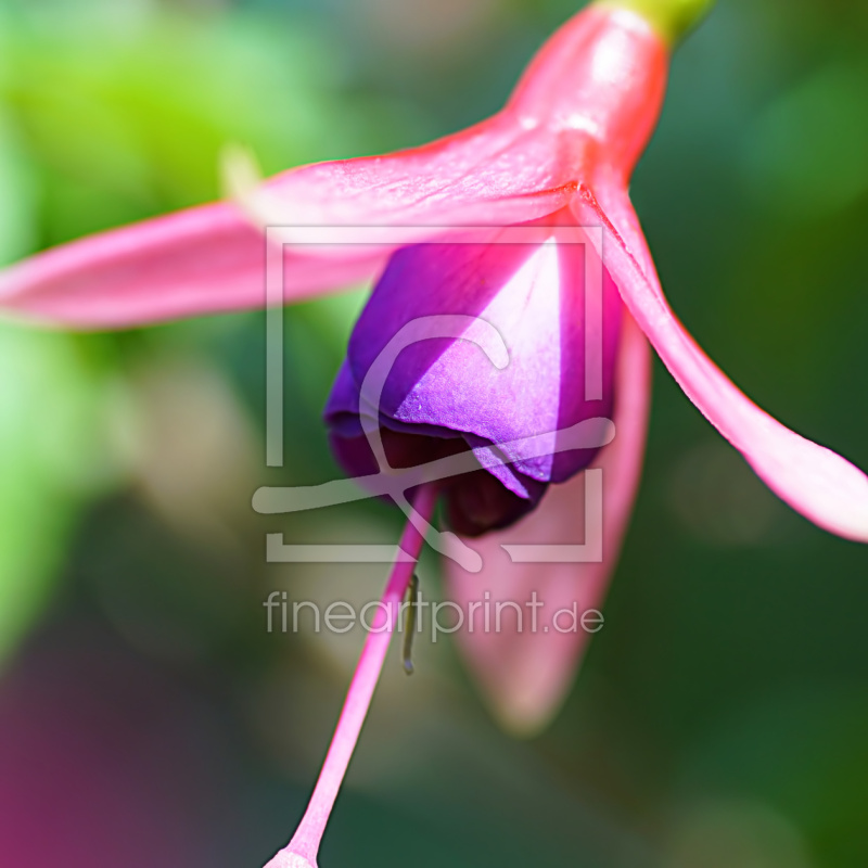 frei wählbarer Bildausschnitt für Ihr Bild auf Glas-Schneidebrett