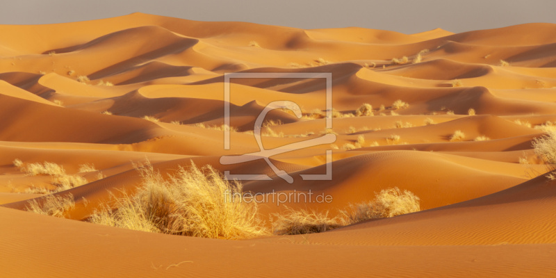 frei w&auml;hlbarer Bildausschnitt f&uuml;r Ihr Bild auf Glas-Schneidebrett