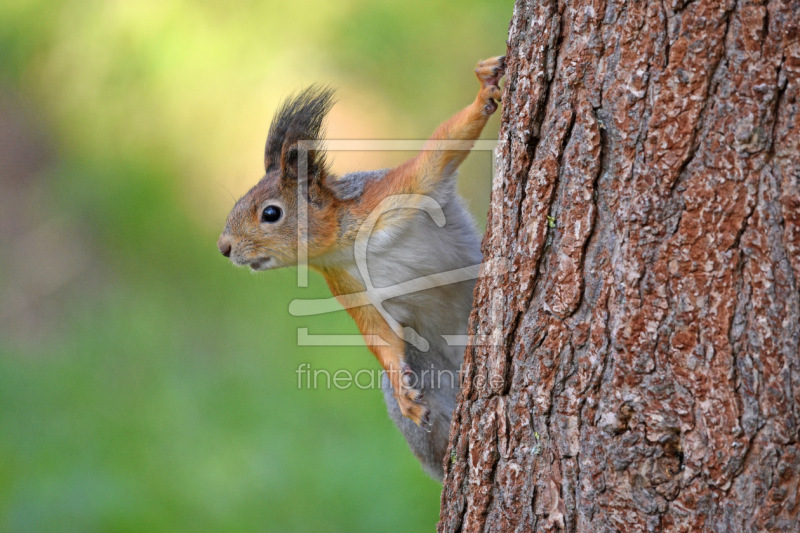 frei wählbarer Bildausschnitt für Ihr Bild auf Glas-Schneidebrett