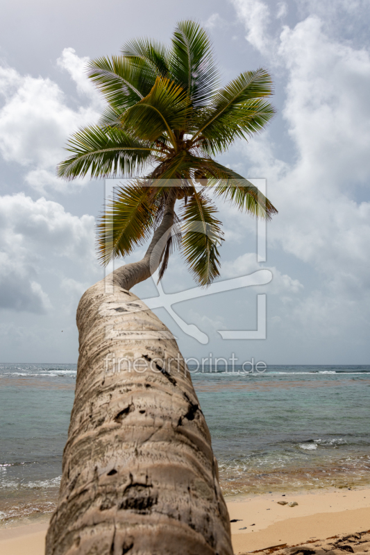 frei w&auml;hlbarer Bildausschnitt f&uuml;r Ihr Bild auf Glas-Schneidebrett