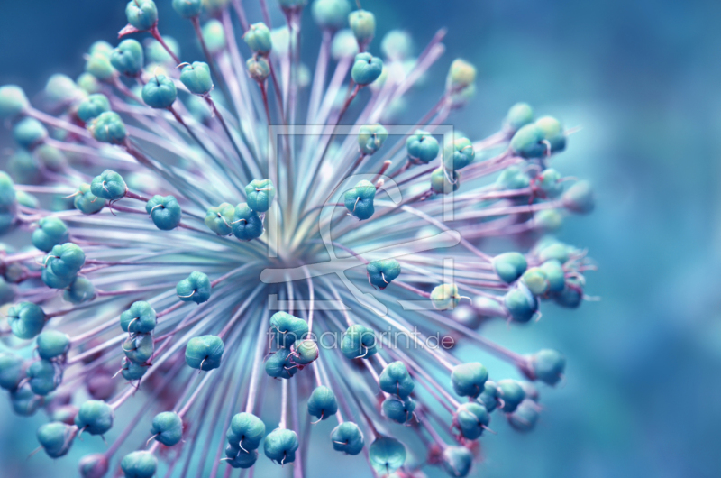 frei wählbarer Bildausschnitt für Ihr Bild auf Glas-Schneidebrett