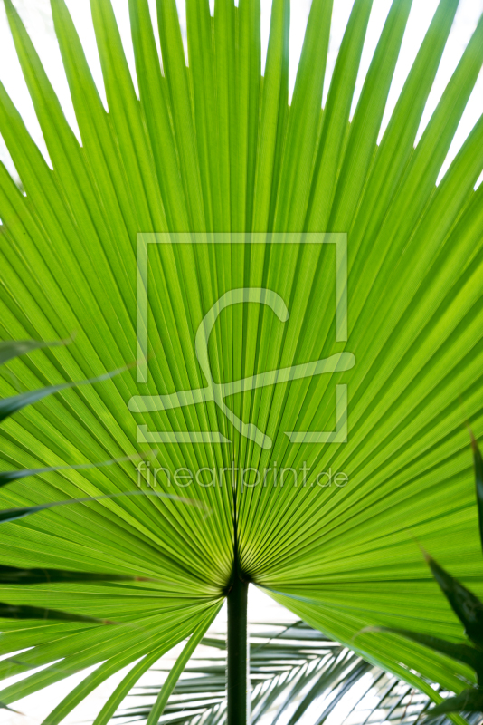 frei w&auml;hlbarer Bildausschnitt f&uuml;r Ihr Bild auf Glas-Schneidebrett