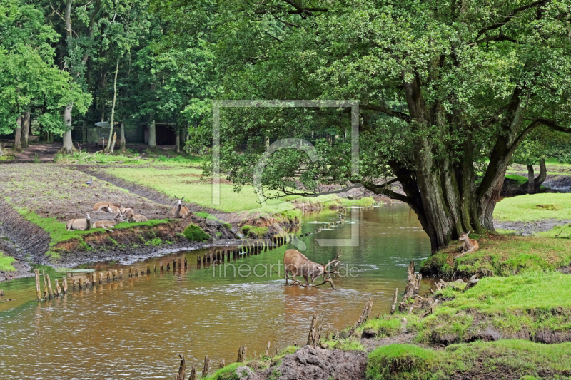 frei wählbarer Bildausschnitt für Ihr Bild auf Glas-Schneidebrett