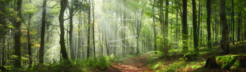 frei wählbarer Bildausschnitt für Ihr Bild auf Glas-Schneidebrett