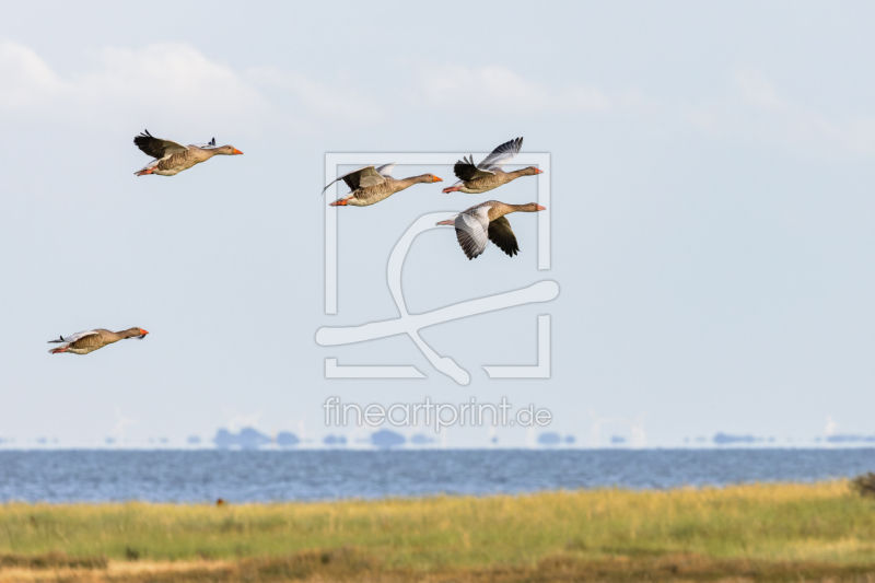 frei w&auml;hlbarer Bildausschnitt f&uuml;r Ihr Bild auf Glas-Schneidebrett