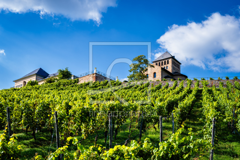 frei w&auml;hlbarer Bildausschnitt f&uuml;r Ihr Bild auf Glas-Schneidebrett