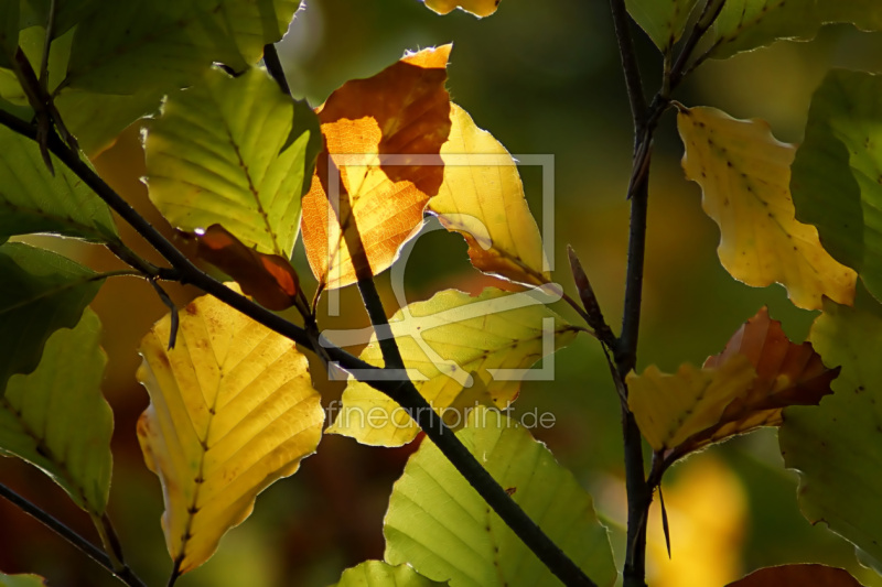 frei w&auml;hlbarer Bildausschnitt f&uuml;r Ihr Bild auf Glas-Schneidebrett