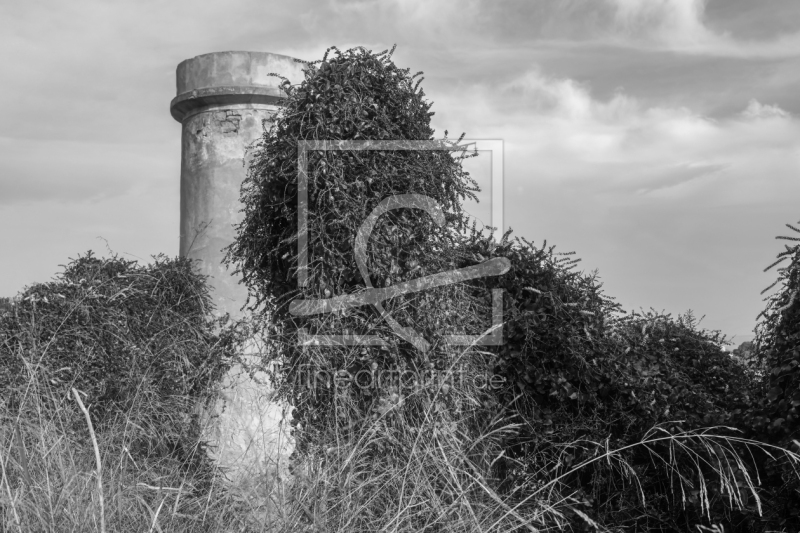 frei w&auml;hlbarer Bildausschnitt f&uuml;r Ihr Bild auf Glas-Schneidebrett