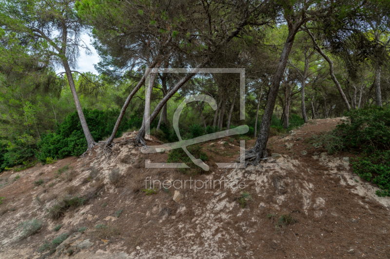 frei w&auml;hlbarer Bildausschnitt f&uuml;r Ihr Bild auf Glas-Schneidebrett