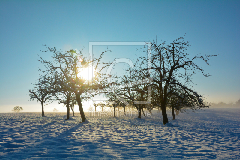 frei wählbarer Bildausschnitt für Ihr Bild auf Glas-Schneidebrett