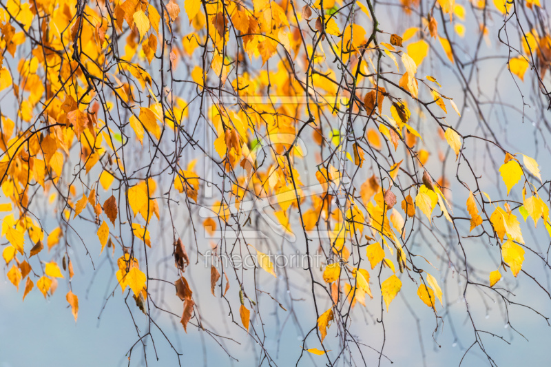 frei w&auml;hlbarer Bildausschnitt f&uuml;r Ihr Bild auf Glas-Schneidebrett