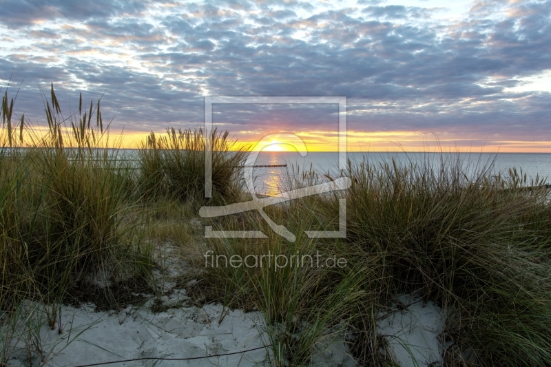 frei w&auml;hlbarer Bildausschnitt f&uuml;r Ihr Bild auf Glas-Schneidebrett