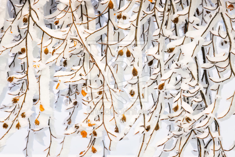 frei wählbarer Bildausschnitt für Ihr Bild auf Glas-Schneidebrett