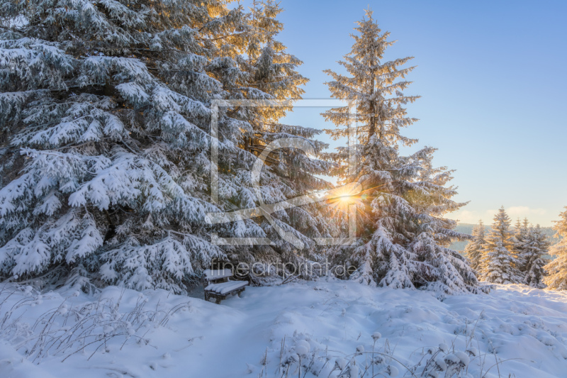 frei wählbarer Bildausschnitt für Ihr Bild auf Glas-Schneidebrett